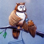 Owl